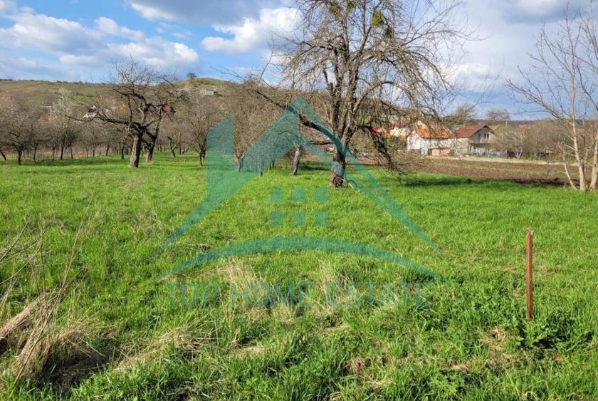 EXCLUSIVITATE! Teren intravilan de vanzare in zona linistita, sat Vlaha! - 4