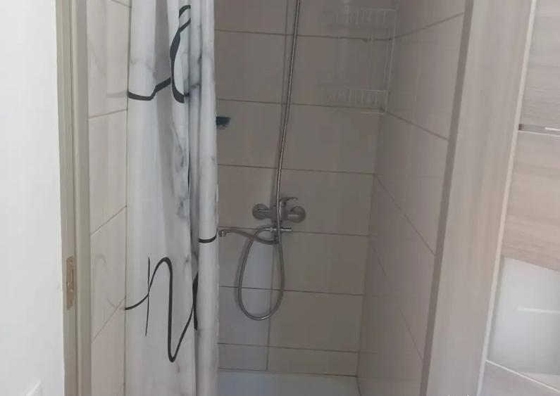 Inchiriez garsoniera Vasile Aaron 245 euro - 3