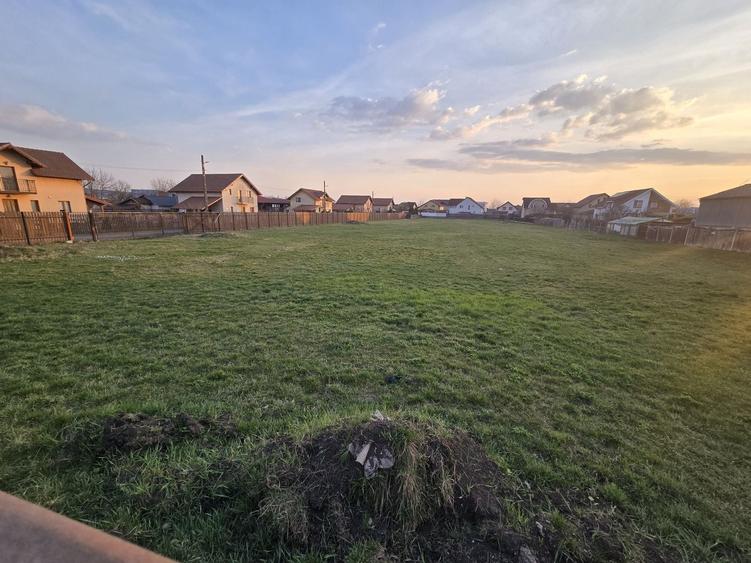 Teren 6.130 mp. deschidere la 2 drumuri 110 euro mp - 14