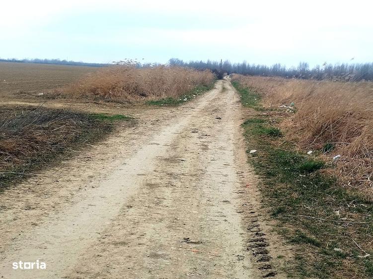 Teren extravilan 15.000 mp oportunitate investi?ionala - 3