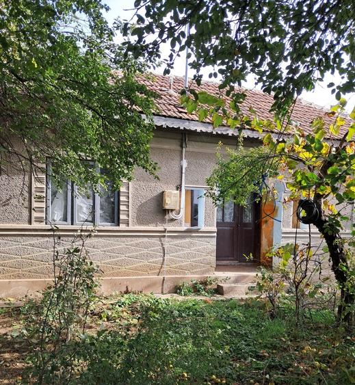 Casa batraneasca de vanzare - 2