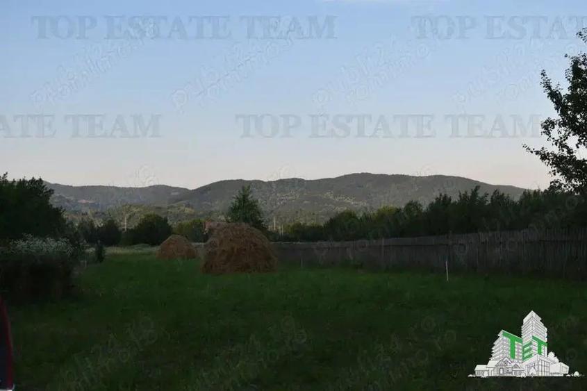 Teren de vanzare Maneciu Pamanteni - 1
