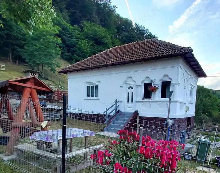 Vand casa la munte ! - 7