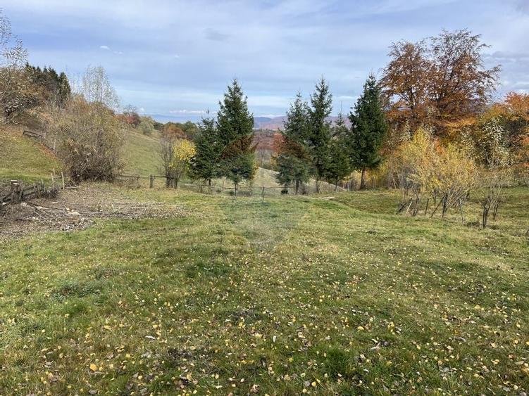 Teren de Vis in Bran - 1000mp Plat, Liniste Absoluta si Aer Curat - 5
