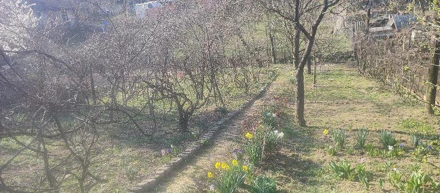 Vand casa zona Chizid - 2