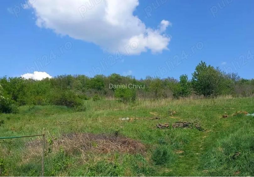 Teren intravilan de vanzare in Cercu, Barnova  910 mp cu utilitati si acces la