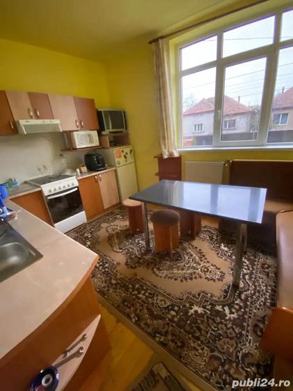 casa de vanzare in orasul Livada - 10