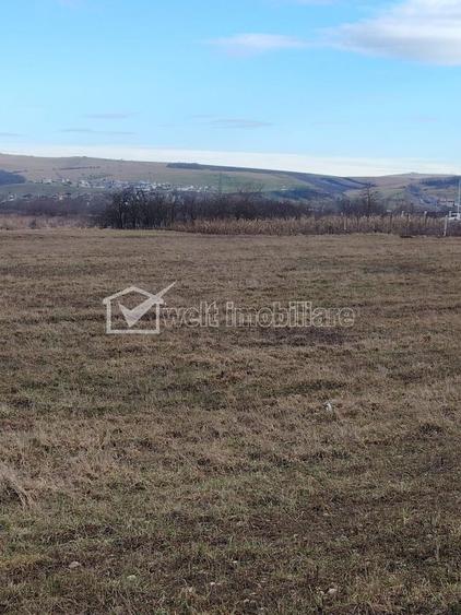 Teren de vanzare in Jucu de Mijloc - 5