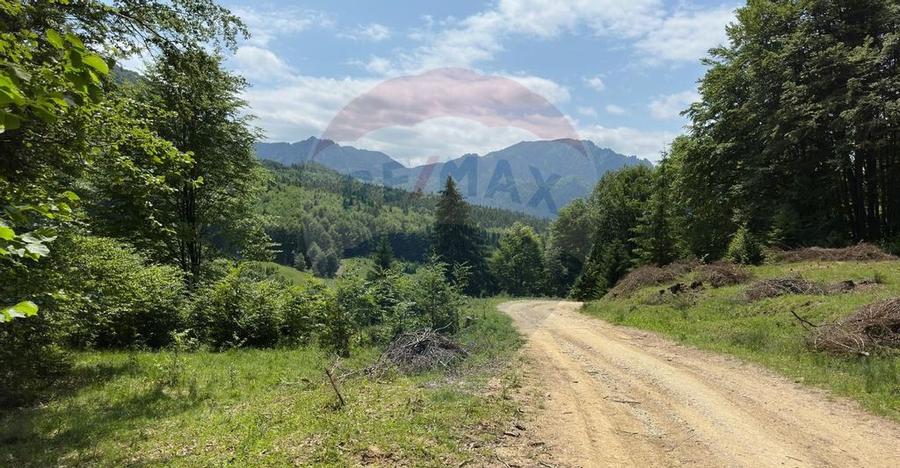 Teren 6000 mp, Vama Buzaului - vedere catre Ciuca? - 18