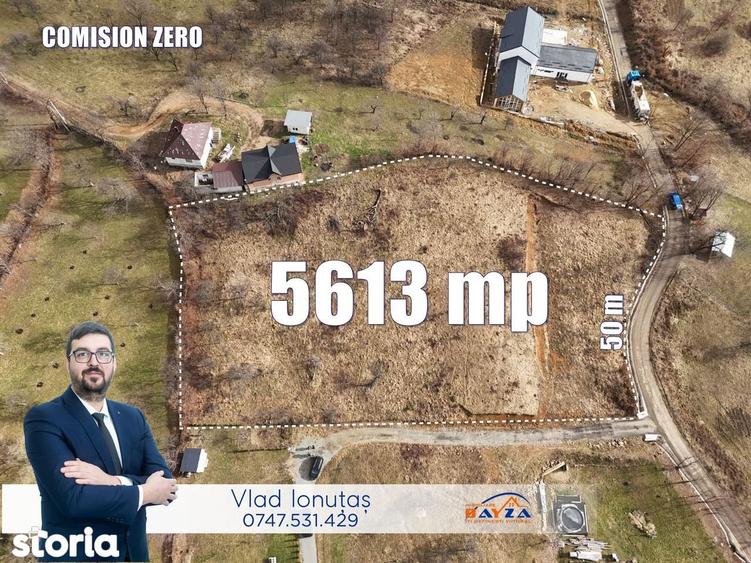 Vanzare teren, intravilan, ?i?e?ti, Maramure? - Acces la 2 drumuri - 1