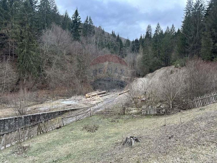 Teren 2,000mp Stejaru (Pangarati) / None - 4