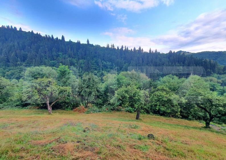 Teren intravilan, 31 ari, Ilva Mica, zona montana - 6