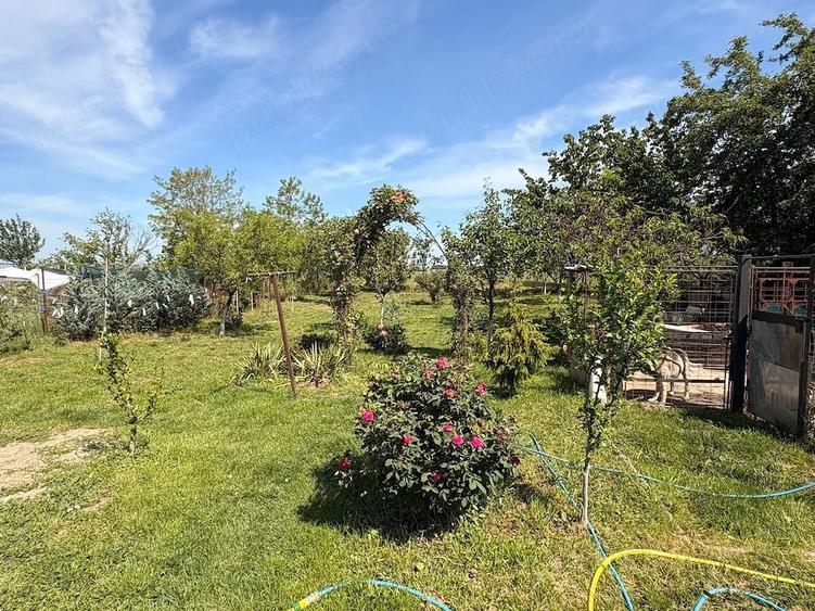Casă cu 4 camere cu Teren 800 Mp în Pecica
