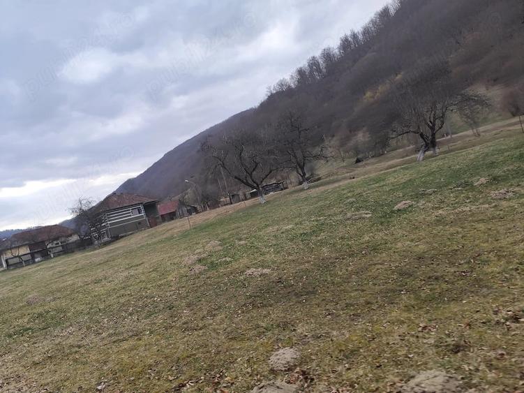 Teren de 1795 mp, în Remeți