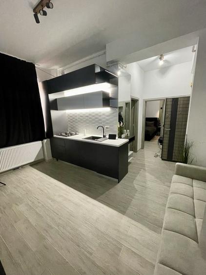 Apartament cu 2 camere, mobilat în Roșu