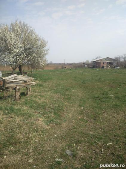 Teren de 1000 mp, în Parța