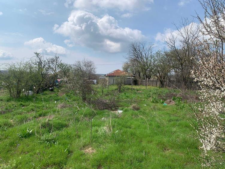 Casa cu teren intravilan 1.100 mp Padureni 25.000 euro Urgent ! - 7