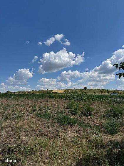 Teren Extravilan Episcopia - 2