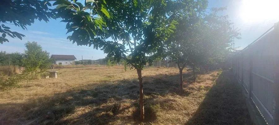 Miroslava TEREN 1157mp intravilan suprafata plana, zona foarte buna - 2