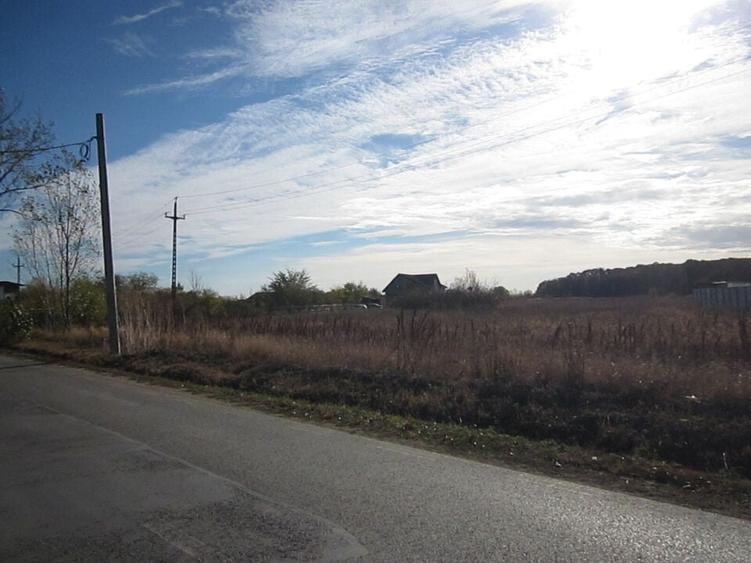 Teghes-Caragea Voda - 9