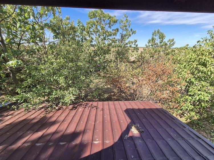 Casa P+1 din lemn - Mihailesti - 19