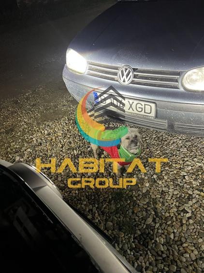 Măgurele 4 camere 80 mp curte libera 130 utili 4 unități disponibile - 16