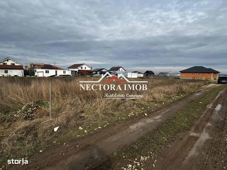 NECTORA IMOB-Teren Intravilan Zona Cihei,512 mp, Utilitati,Str.Privata - 3