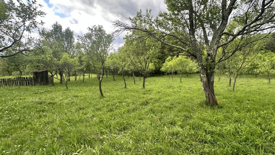 Teren intravilan 3102mp zona Racovita-Blanoiu - 3