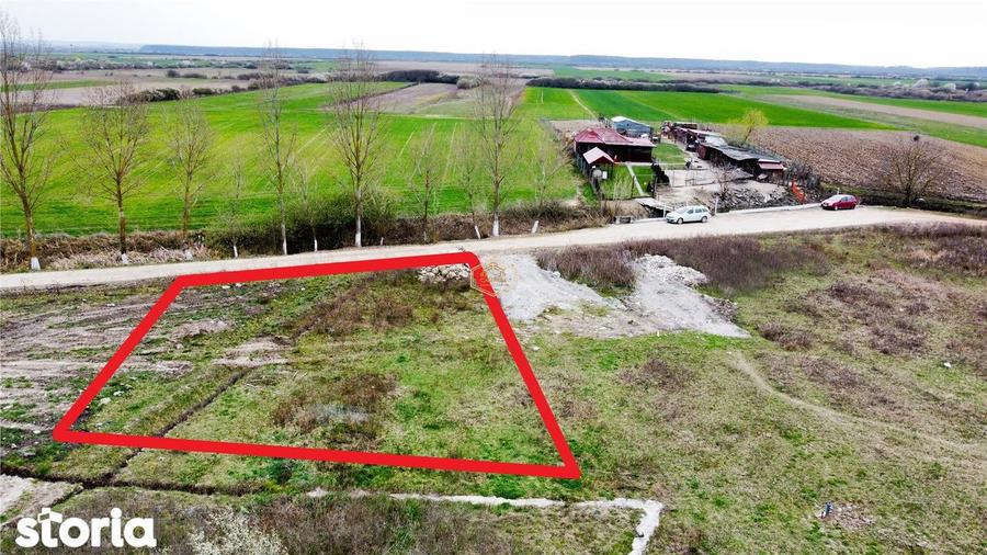 VIDEO | Investitie sigura | Teren intravilan de 500 mp in Madaras - 3