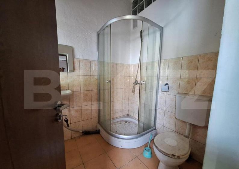 Proprietate de cazare, spatii comerciale, Lugoj - 16