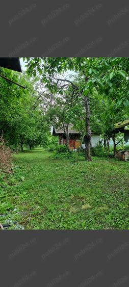 Vand, sau schimb cu apartament, casa in Aiud - 3