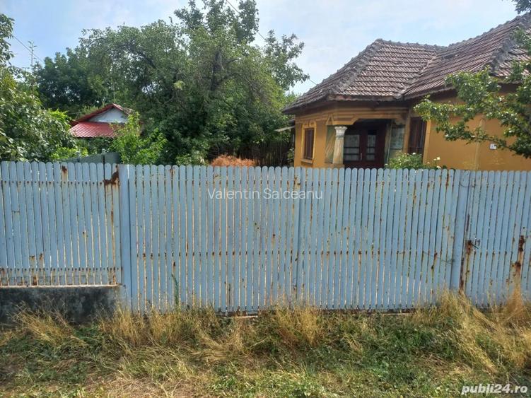 Salceanu Valentin Salceanu Valentin