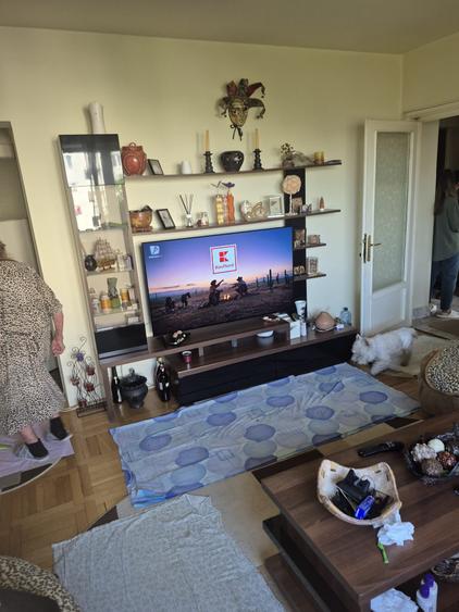 3Camere Ion Mihalache - 8