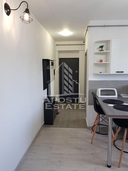 Apartament 2 camere de inchiriat, loc de parcare, zona Lipovei Timisoara - 7