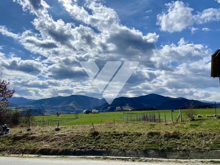 Teren Rasinari 3500 mp extravilan - 1