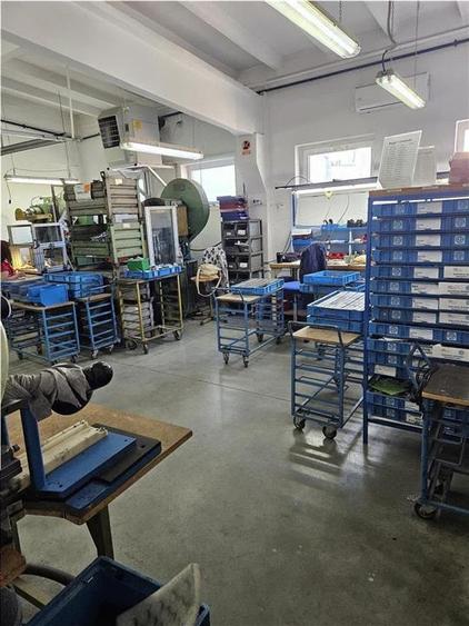 Exclusivitate - Proprietate Industriala De Vanzare - Productie - Depozitare - 12