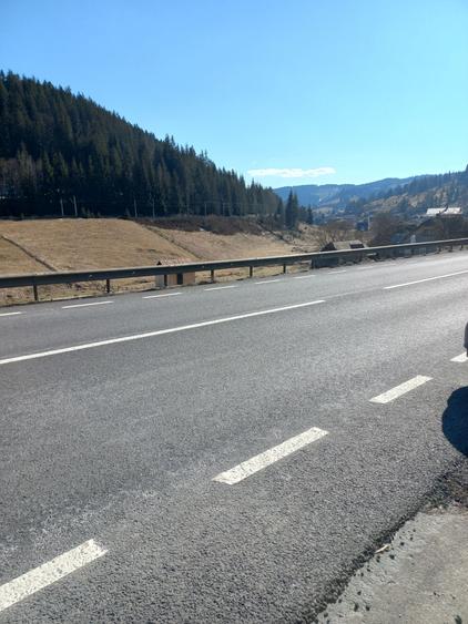 teren de 7200 mp POJORATA - 1