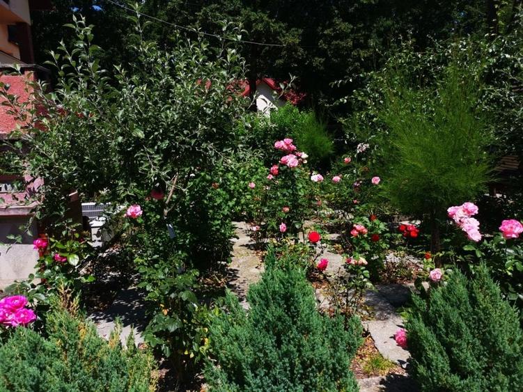 Duplex Gavana D+P+E+M, teren 500mp, garaj - 40