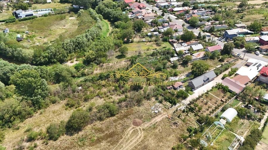 Teren Domnesti Vladimirescu, langa raul Ciorogarla - 4