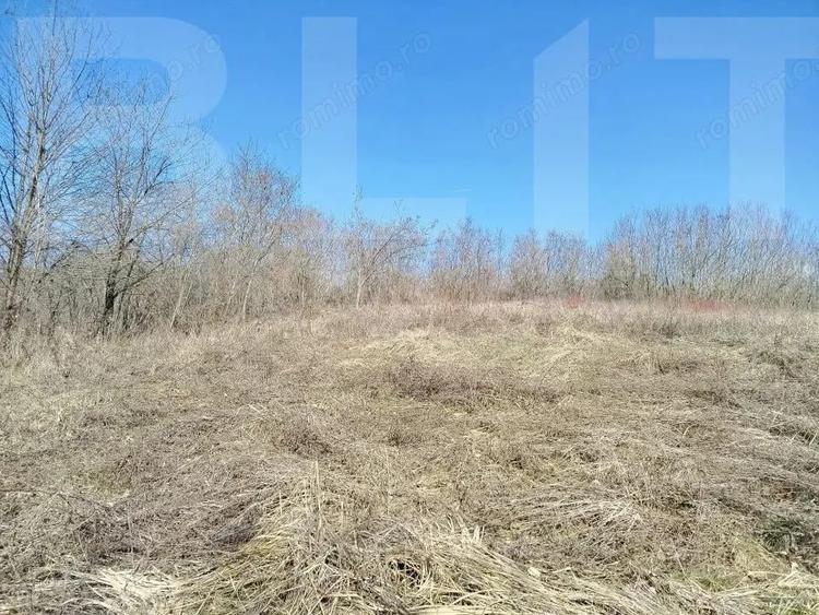 Vand casa ce necesita revonare la Zgribesti nr 100 strada Principala 1 hectar - 8