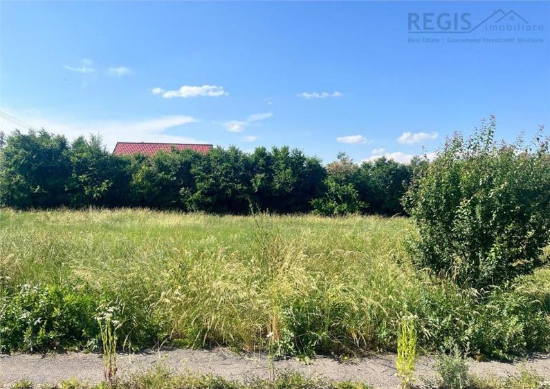 TEREN INTRAVILAN, 1000 mp, HARMAN - 3