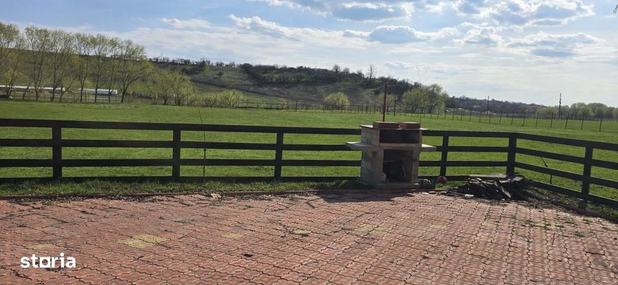 Ferma Zootehnica de Vanzare 6 Ha | Vaci si Oi | Grajd si Saivane | Cal - 4