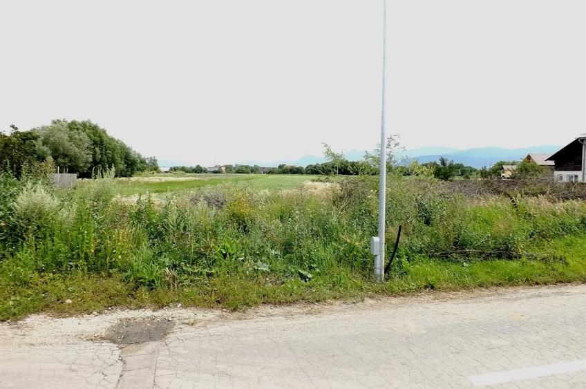 Teren de vanzare pretabil constructie casa - 6