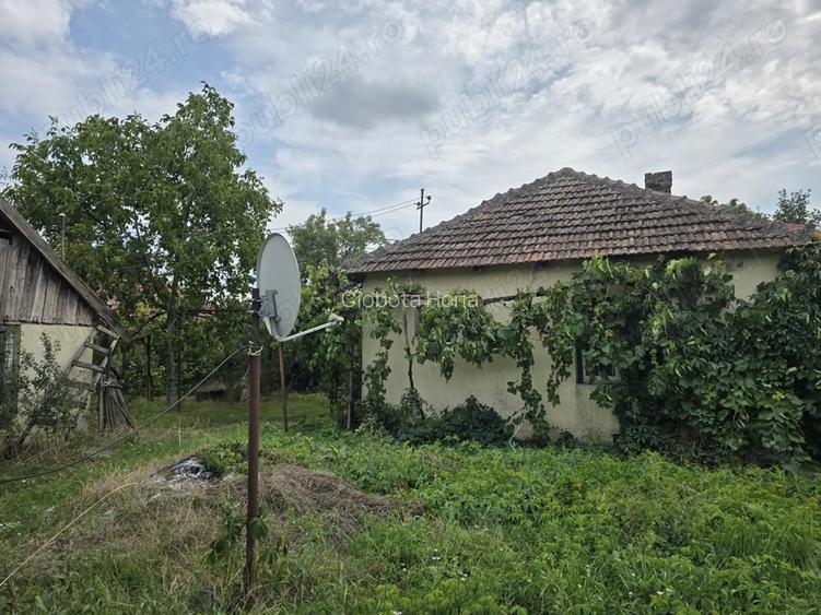 Vand casa in Tinca (sau schimb cu garsoniera oradea) 2 camere, pe treren de 1000 metri patrati