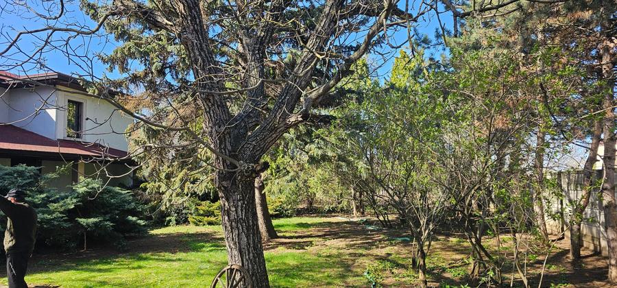 Proprietate exceptionala - Balotesti - 3