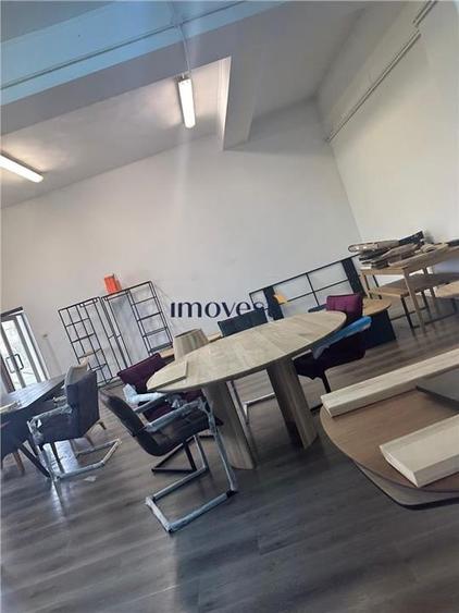 DE VANZARE COMPLEX INDUSTRIAL SATU MARE - 5