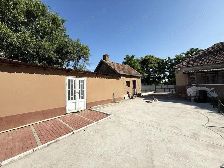 Catun Ferma autorizata Tip A pentru cresterea porcilor - IMOBIHOR - 1