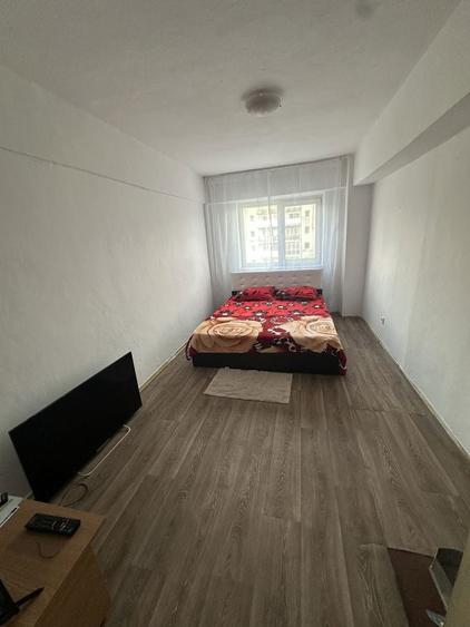 Apartament etajul 2 Baia de Arama - 3