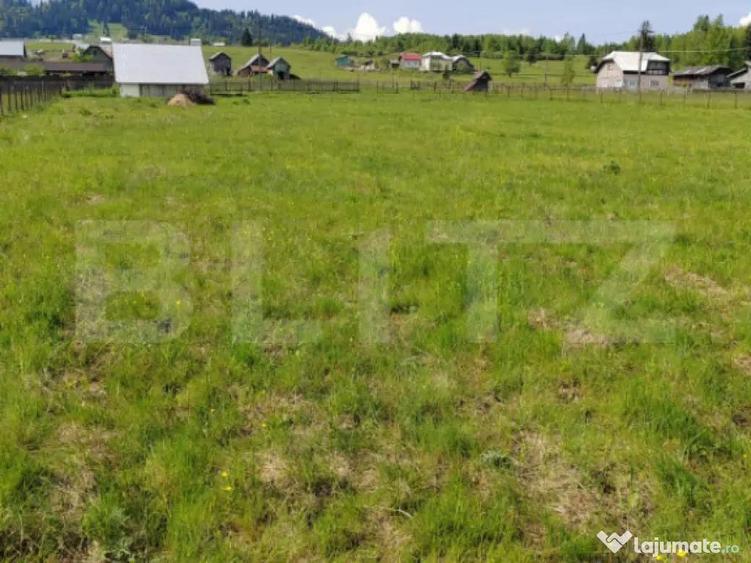 Oferta de vanzare teren, URGENT, Dorna Candrenilor - 3