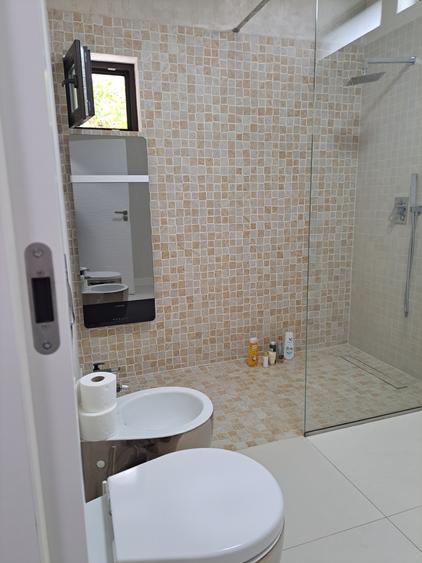 VILA NOUA,MODERNA CU 2100 METRI PATRATI TEREN-VIISOARA - 11